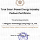 TONGOU SY1 Smart WiFi Switch | Timer, Energy Monitor, Alexa & Google Compatible | DIN Rail | Smart Life/Tuya App